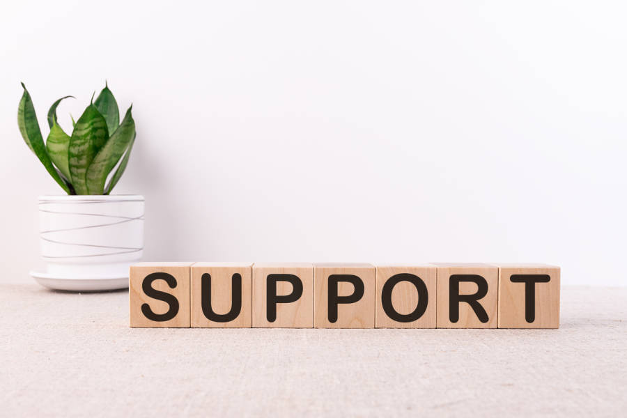 What Support do Foster Carers Receive?